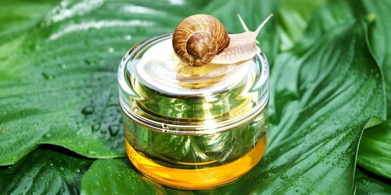 benefici della bava di lumaca