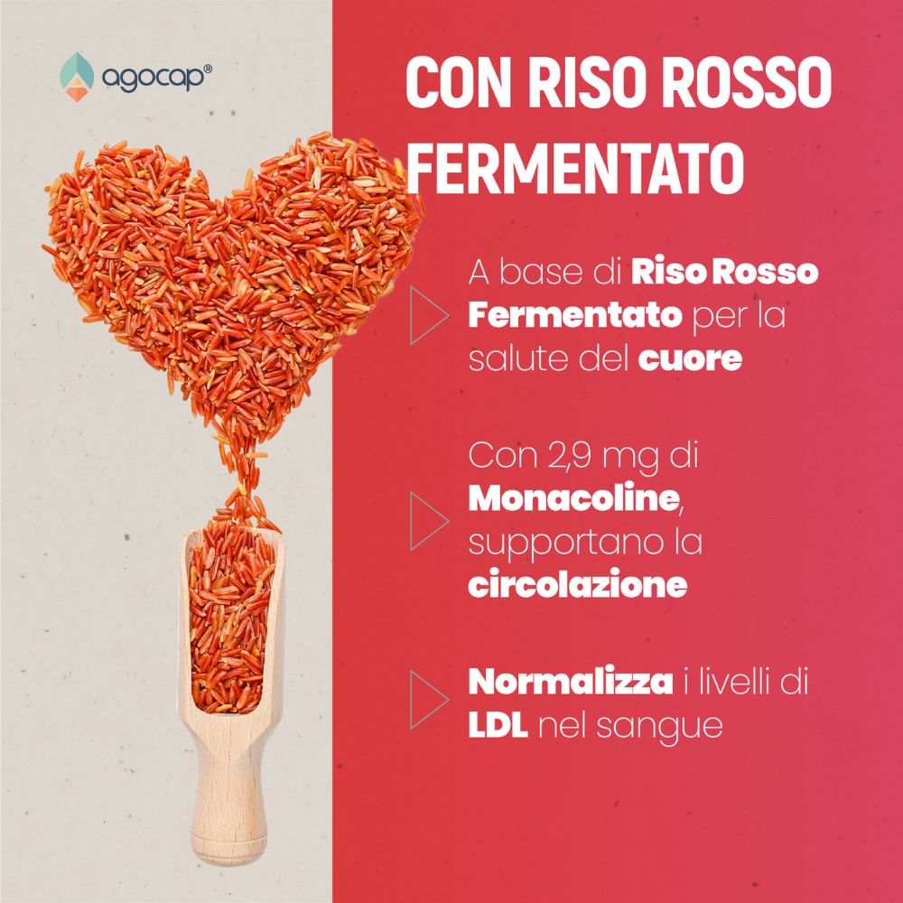 Colestaid PRO, Integratore Alimentare per il Controllo del Colesterolo, con Riso Rosso Fermentato, 300 compresse